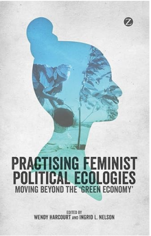 Practising Feminist Political Ecologies: Moving Beyond the 'Green Economy'
