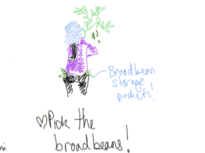 Child with broadbean pockets