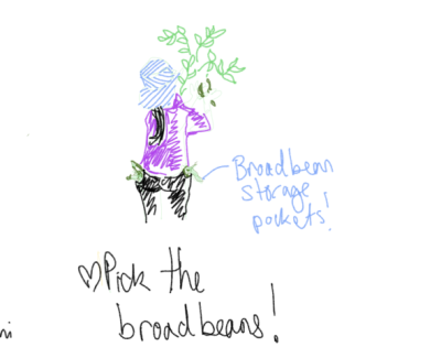 Child with broadbean pockets